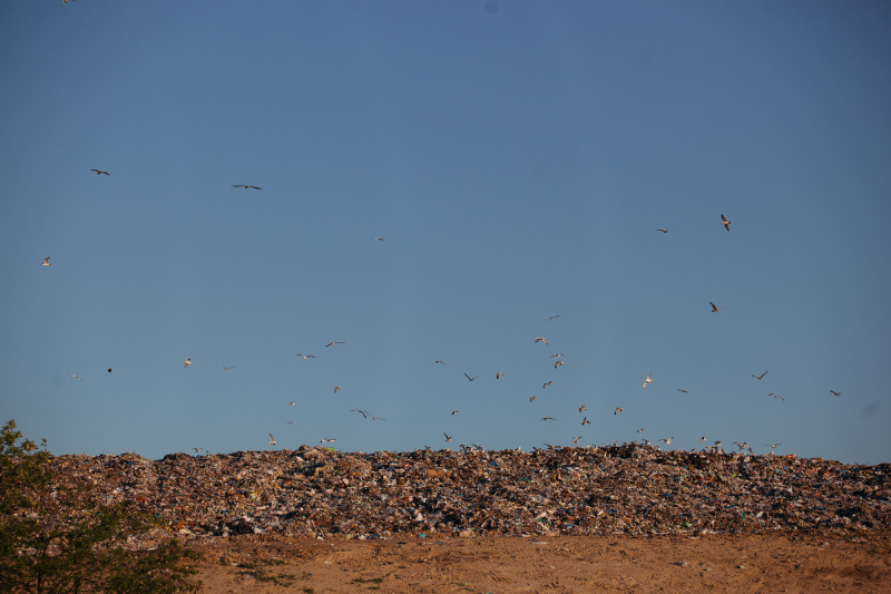 "Сміттєзвалище і пластикові пакети": ONUKA та Алан Бадоєв презентували новий яскравий кліп