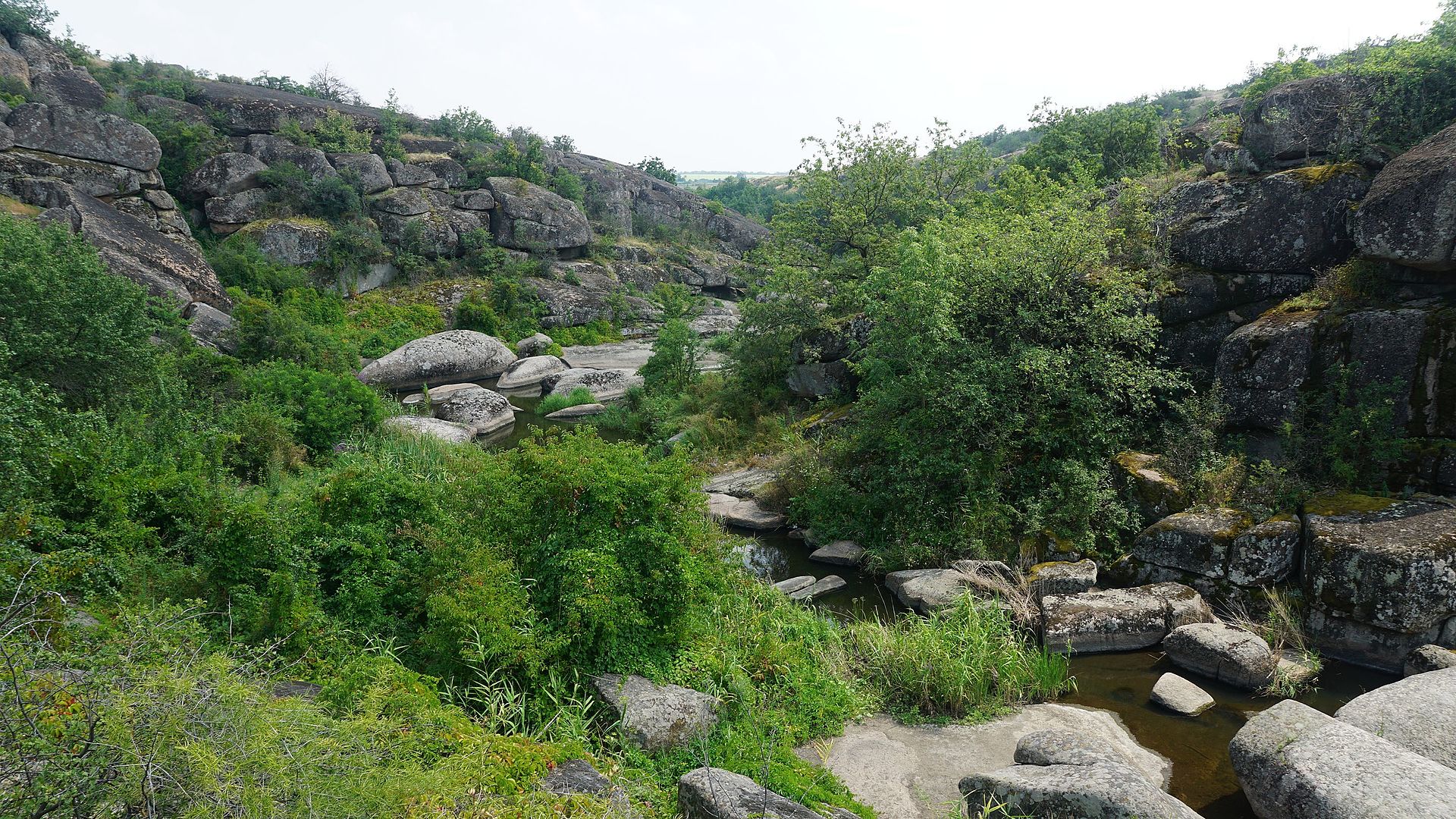 Где отпраздновать День Независимости Украины: топ-5 мест от Анатолия Анатолича