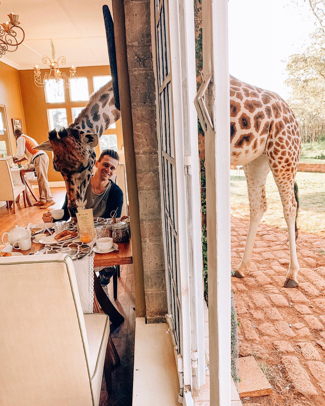 Завтрак с жирафом: украинский ведущий поразил сказочными фото из Африки