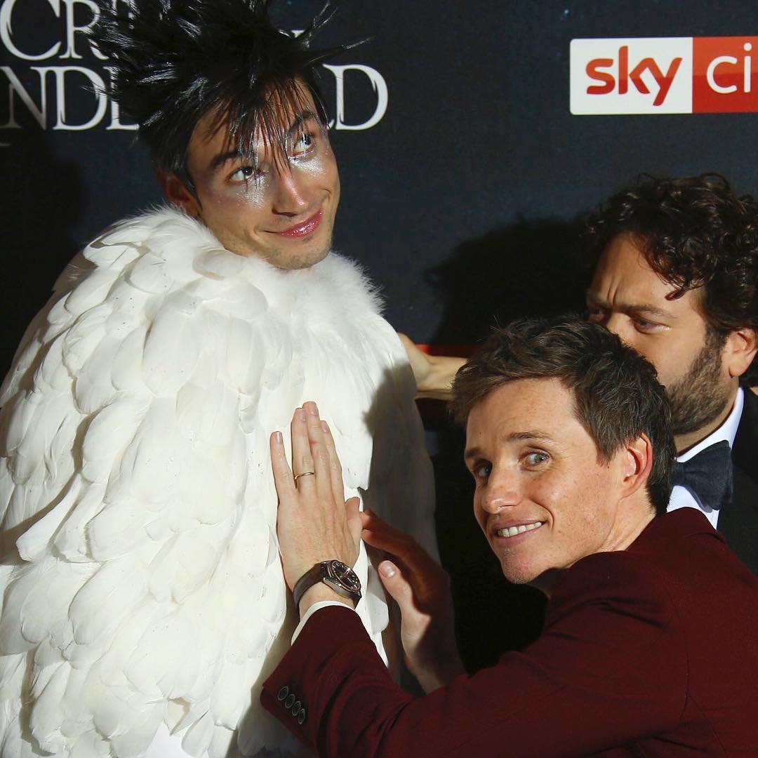 В костюме совы: звезда "Фантастических тварей" поразил нарядом на премьере