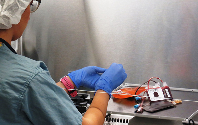 Что такое пуповинная кровь и для чего она нужна украинцам