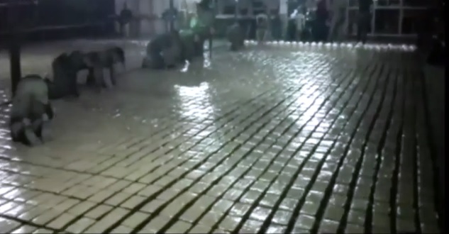 У джунглях Колумбії виявлено секретні нарколабораторії