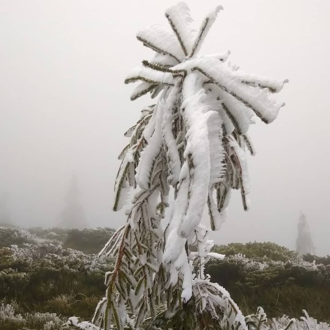 Горы утопают в туманах и снегу: невероятная красота Карпат