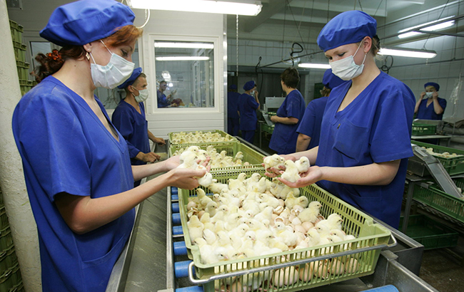 Миронівський хлібопродукт Косюка: свіжі новини, статистика та фінансова інформація