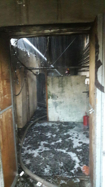 У Київському зоопарку сталася пожежа, частину тварин евакуювали