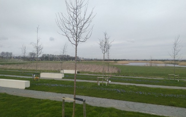 Время справедливости: как начался суд по катастрофе рейса MH17 над Донбассом