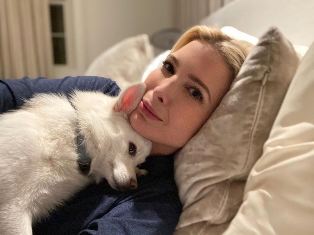 Іванка Трамп в сукні за $2040 і золотих човниках ефектно виділила форми