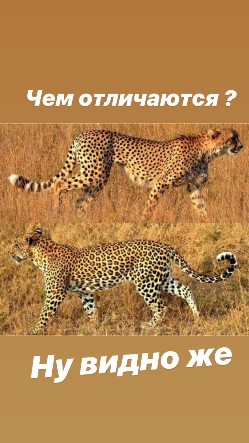 "Що ще мені треба!" Джамала показала в деталях подарунок чоловіка на її 36-річчя