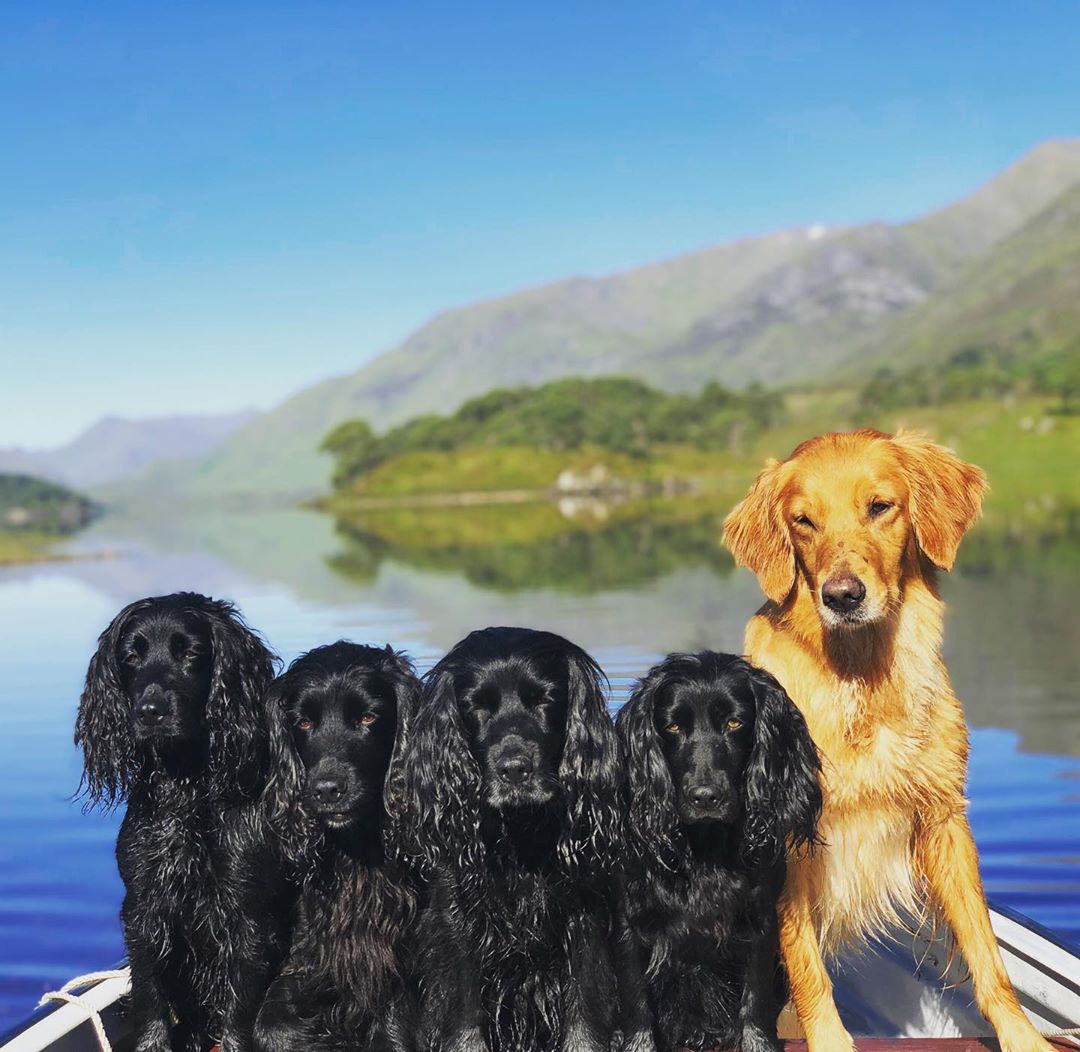 Брат Кейт Миддлтон больше не может гадать и отменяет свою свадьбу