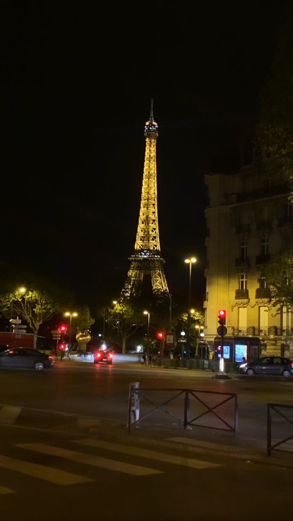 Каменских и Потап отдыхают в Париже в одном отеле? Поклонники нашли "зеленую улику" (видео)