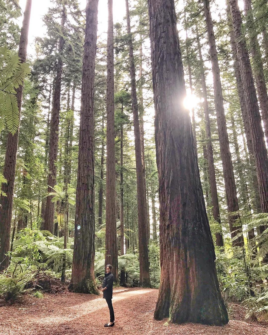 Меган Маркл в Новой Зеландии