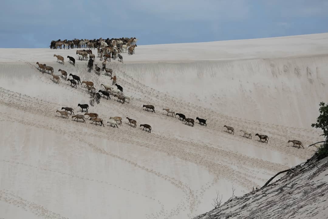 Бразильское чудо природы: Дмитрий Комаров показал захватывающие дух фото