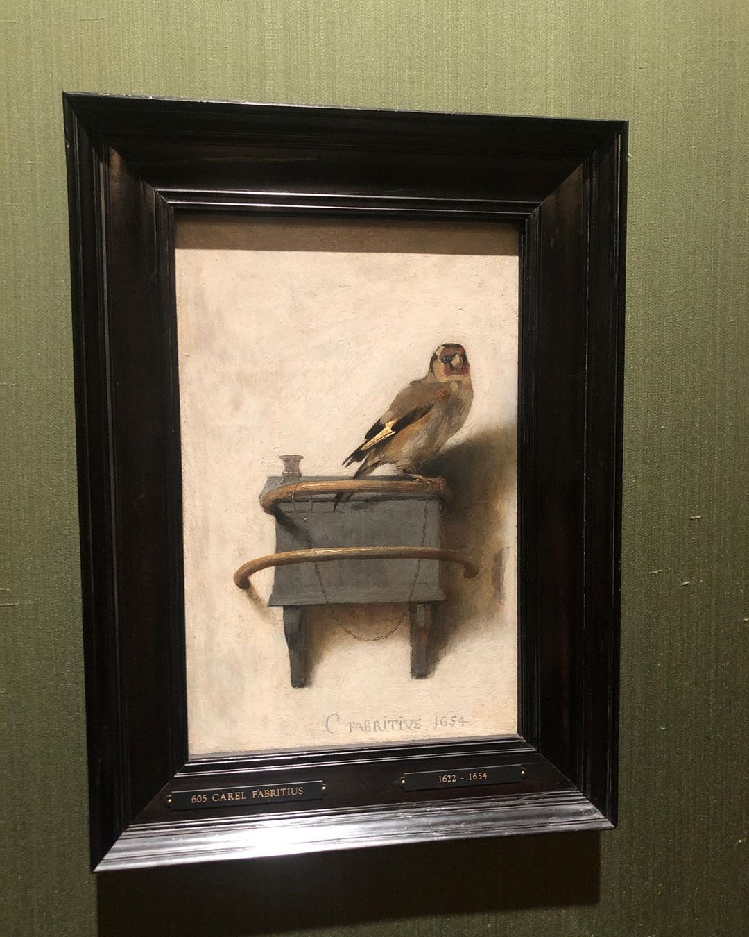 "Крутое открытие": Катя Осадчая воодушевила осуществлением давней мечты