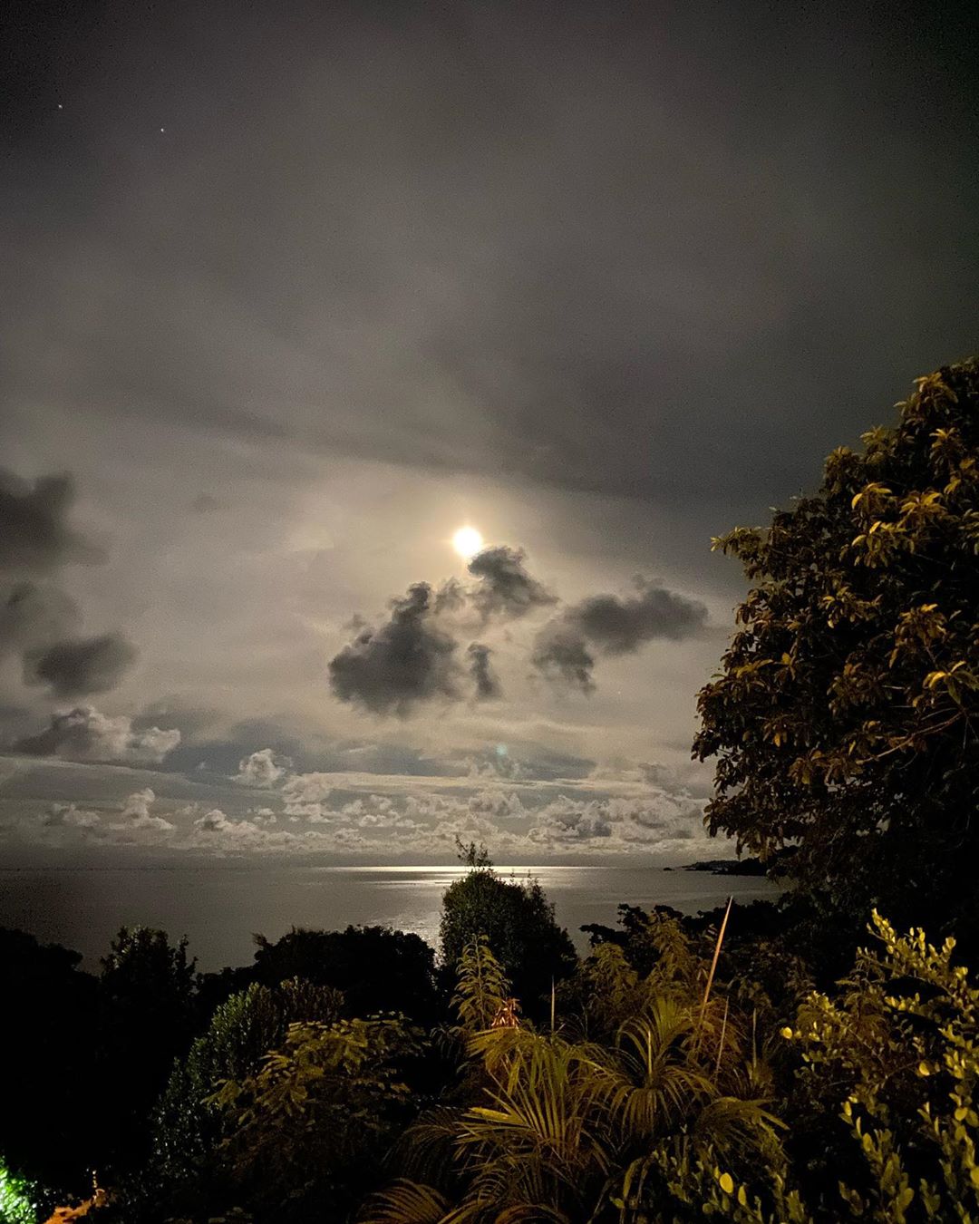 Коли фільтри не потрібні: щасливі Осадча та Горбунов підкорили романтичним фото біля океану