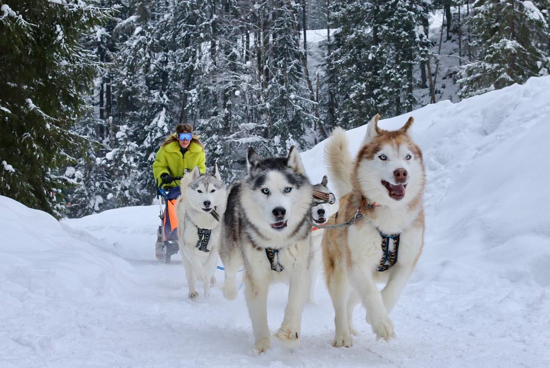 "Відкопайте, обігрійте": Лесю Никитюк у Карпатах засипало снігом