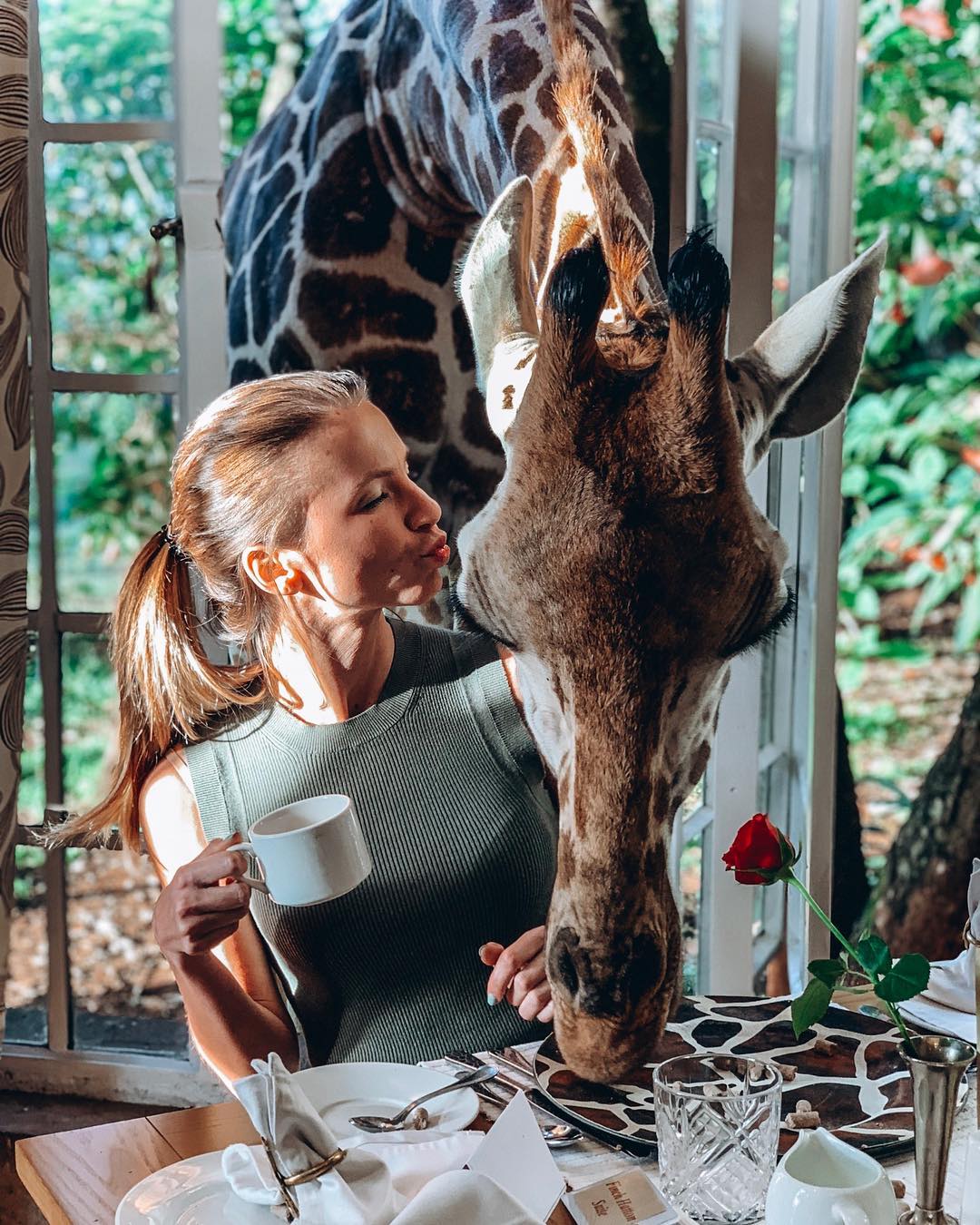 Завтрак с жирафом: украинский ведущий поразил сказочными фото из Африки