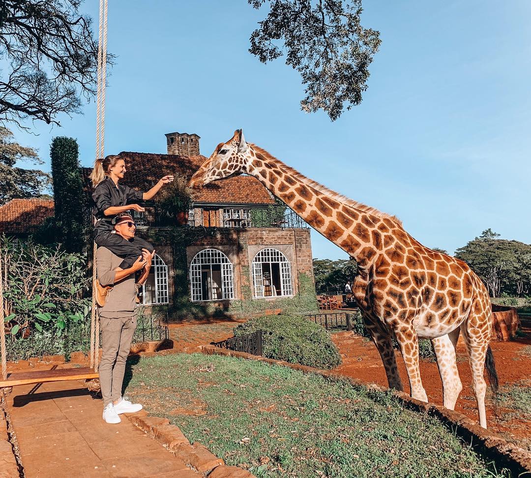 Завтрак с жирафом: украинский ведущий поразил сказочными фото из Африки