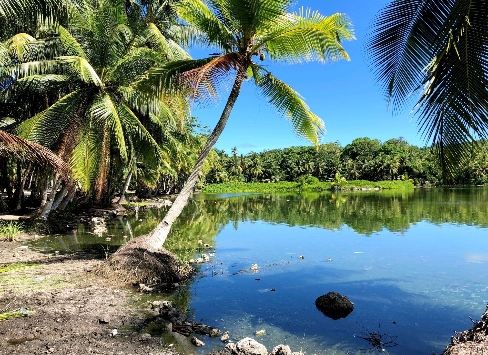 Украинец, посетивший все страны мира: Однажды попал под ракетный обстрел в Ираке