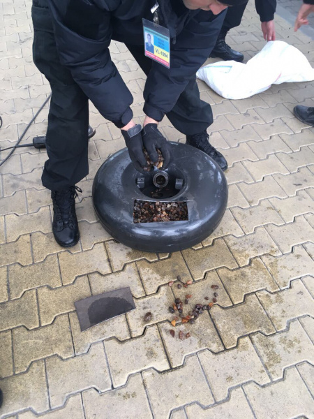 Прикордонники зупинили контрабанду бурштину на кордоні з Польщею