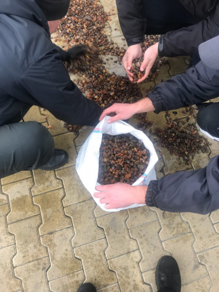 Прикордонники зупинили контрабанду бурштину на кордоні з Польщею
