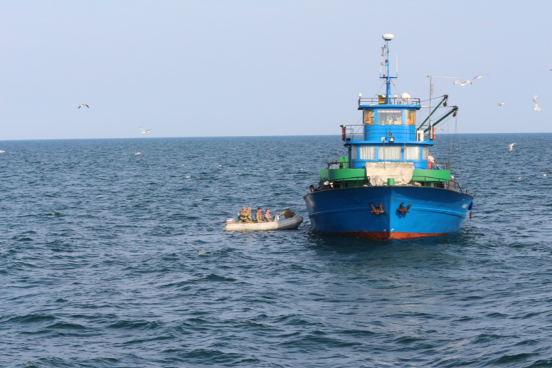 Возле морской границы Украины за неделю зафиксировали более 40 иностранных судов