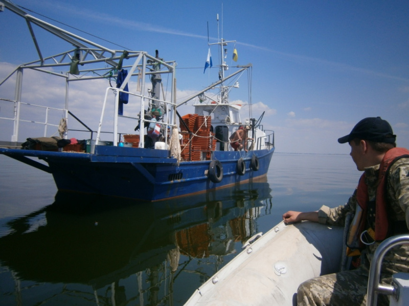 Возле морской границы Украины за неделю зафиксировали более 40 иностранных судов