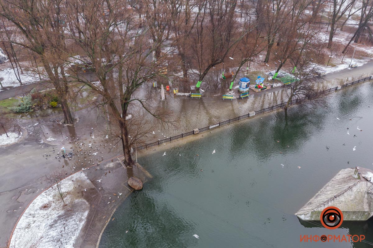 В затопленном парке в Днепре по пешеходных дорожках плавают утки (фото, видео)