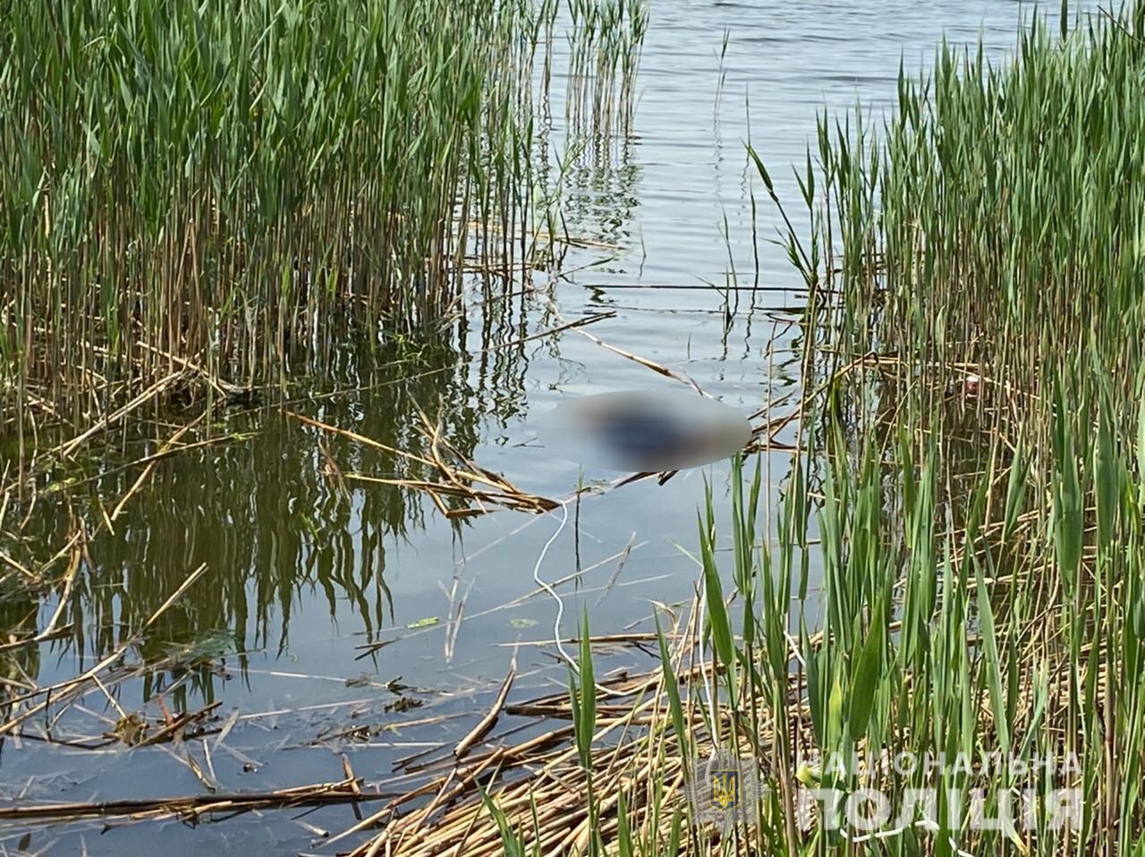 У Миколаєві виявили мертвим зниклого безвісти бізнесмена: слідство триває (фото)