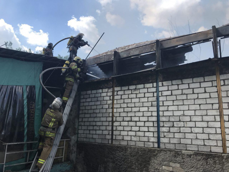 Пожежа в Гідропарку: у ДСНС повідомили подробиці