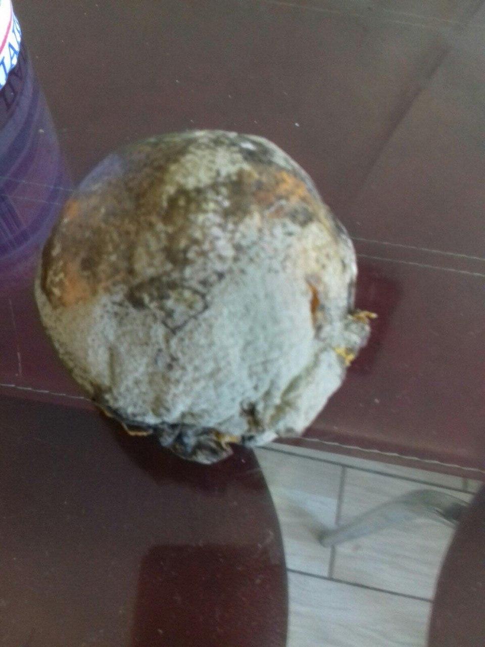 Самый нелепый подкуп избирателей: на Закарпатье пенсионерам раздают гнилые апельсины