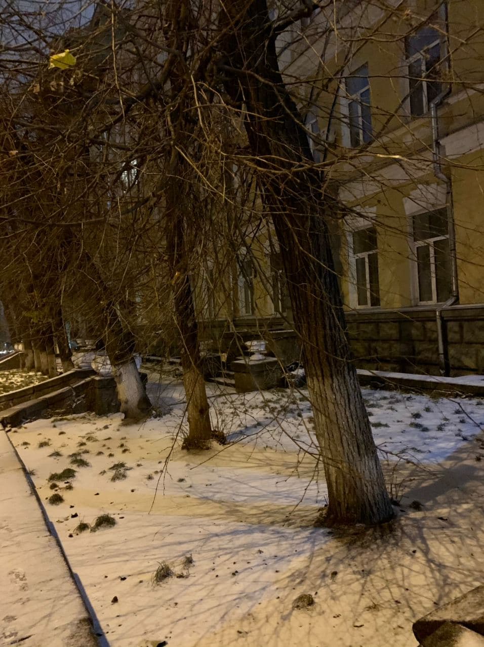 У Києві випав перший сніг: фото і відео запорошеної столиці