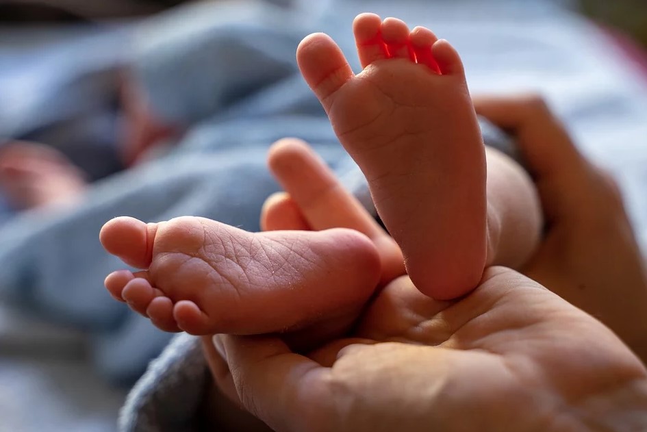 Зміна клімату: вчені попередили про нові серйозні виклики