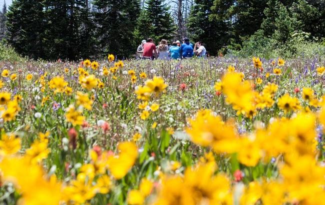Выходные дни в мае: сколько будут отдыхать украинцы