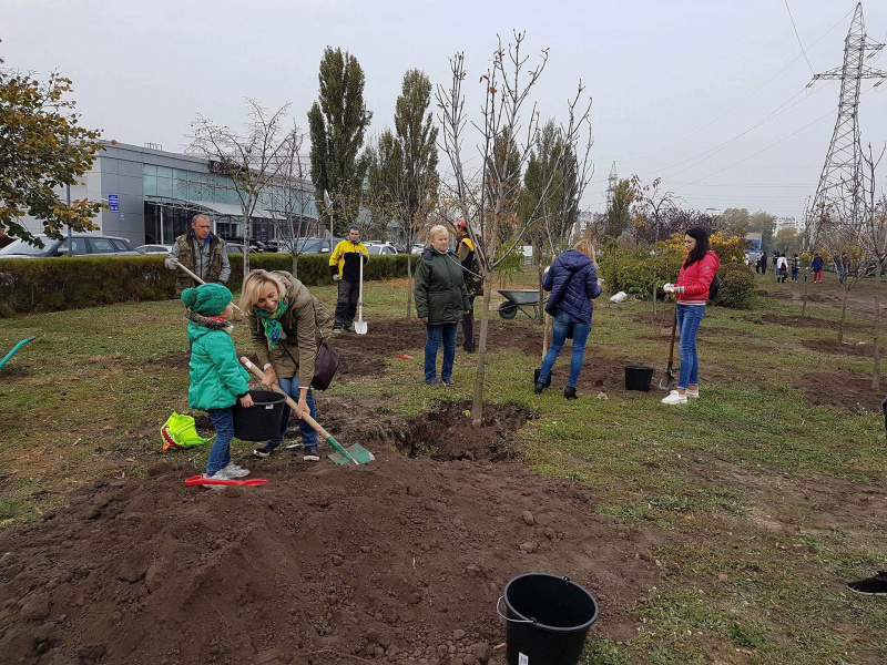 Экоакция "Купил машину? Посади дерево!"