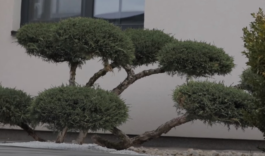 Дорофєєва показала будинок, в якому живе з Дантесом: "краще рішення в нашому житті"