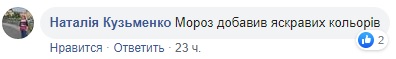 Неймовірна краса: з'явилися вражаючі фото зимових Карпат