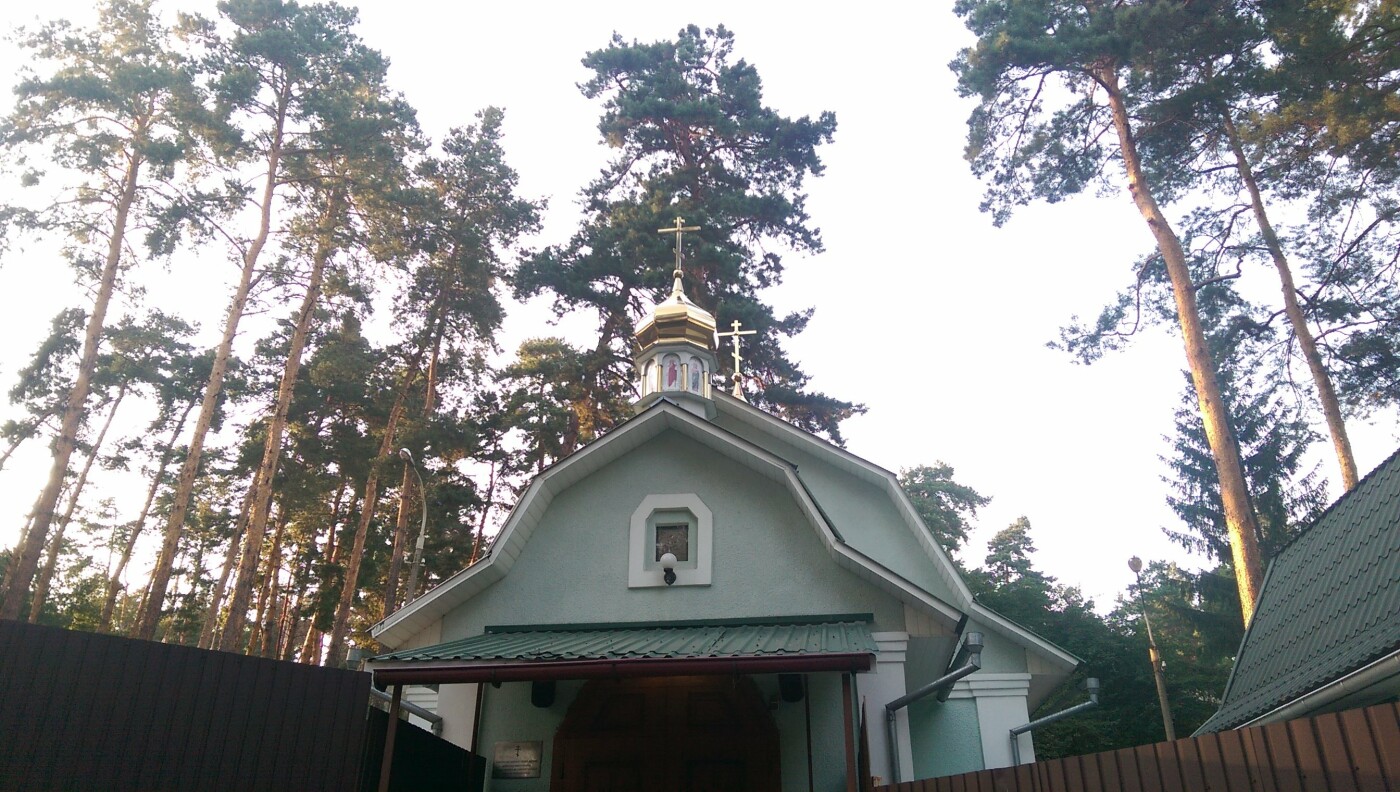 Секретне селище під Києвом: для кого воно побудоване і як виглядає (фото)