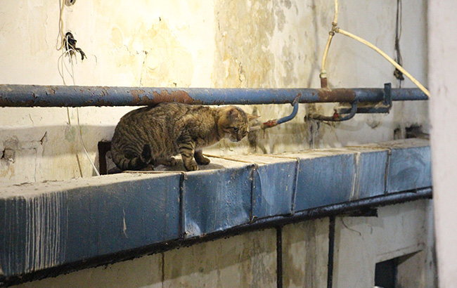 Страх и ненависть в Лукьяновке: как живет самая известная тюрьма Украины