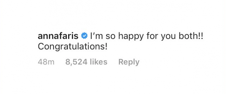 Экс-супруга высказалась по поводу помолвки Криса Пратта с дочкой Шварценеггера