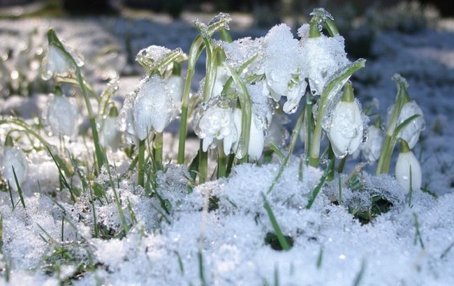 Каким будет "определяющий" день февраля: синоптики дали прогноз