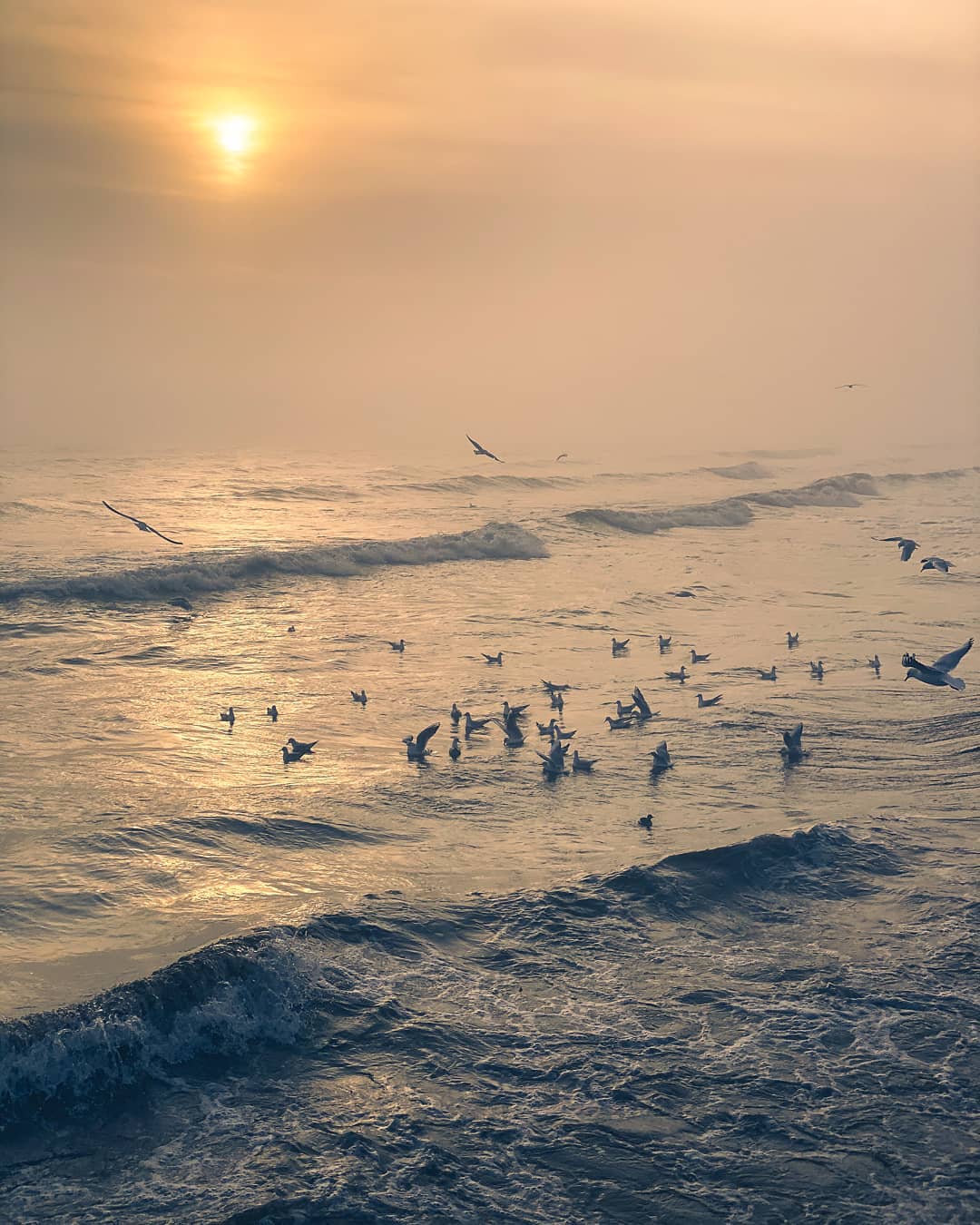 Україна отримала офіційну сторінку в Instagram: що там публікують (фото)