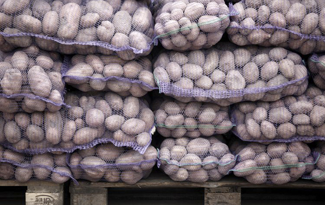 Украинцев ждет очередное подорожание продуктов: что будет с ценами зимой