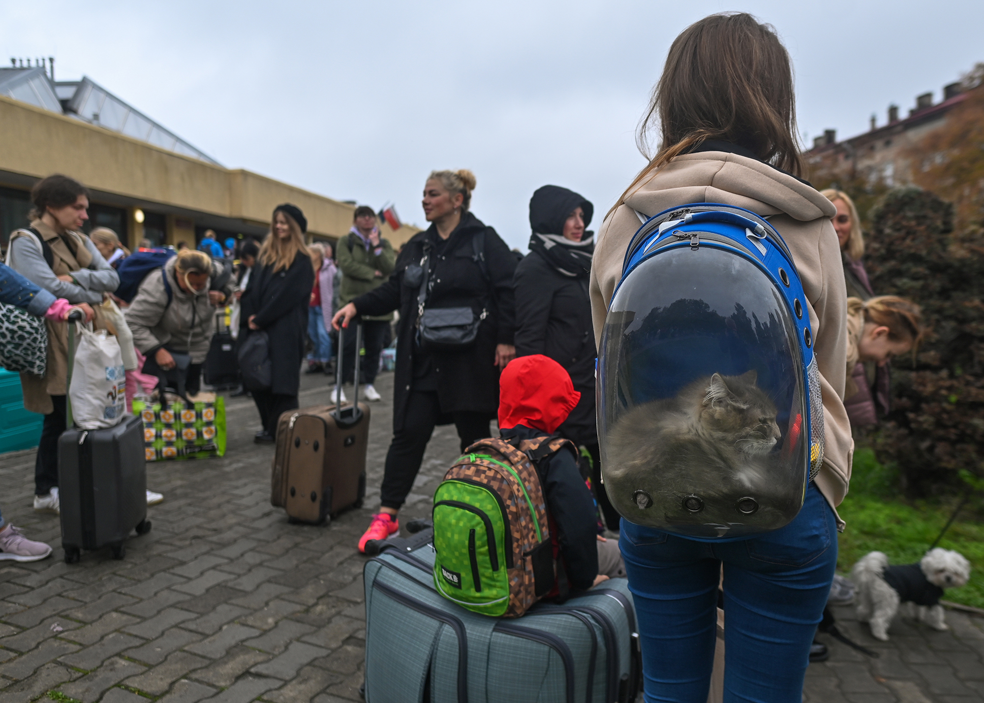 Виплати і статус. Що зміниться для біженців після отримання &quot;карти побиту&quot; у Польщі