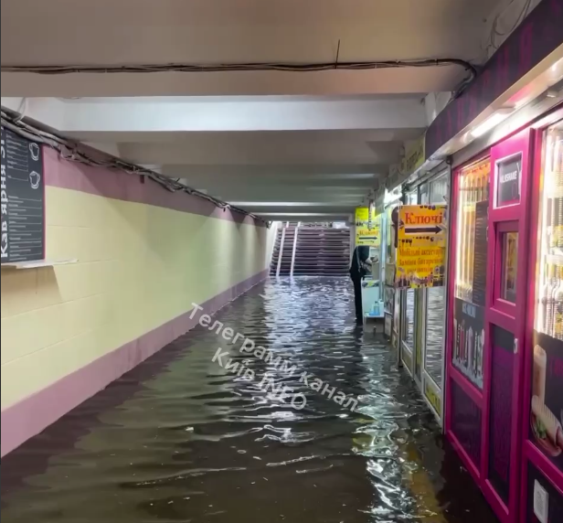 Гроза в Києві затопила переходи: &quot;без гумових чобіт&quot; не пройдеш (фото)