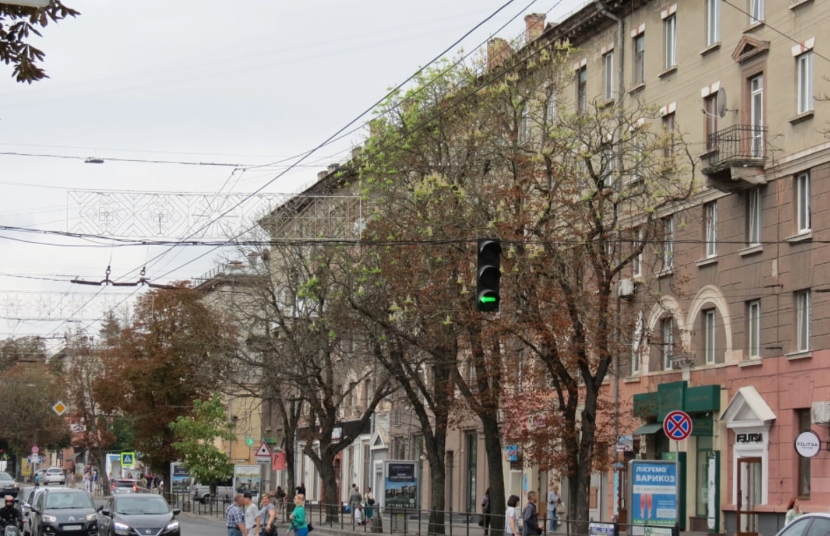 У Тернополі знову зацвіли каштани: фото