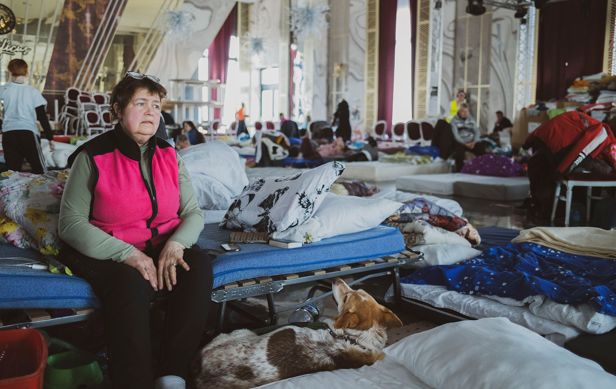 В какую страну сейчас лучше выехать. Что советуют беженцы из-за границы