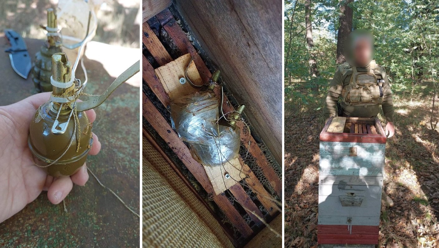 Під Києвом бджоли самі "розмінували" вулик, замінований росіянами (фото)