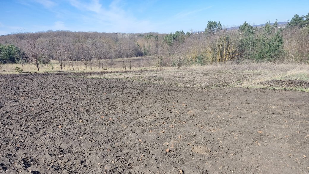 Під Тернополем випадково виявили стародавнє поселення трипільської культури (фото)