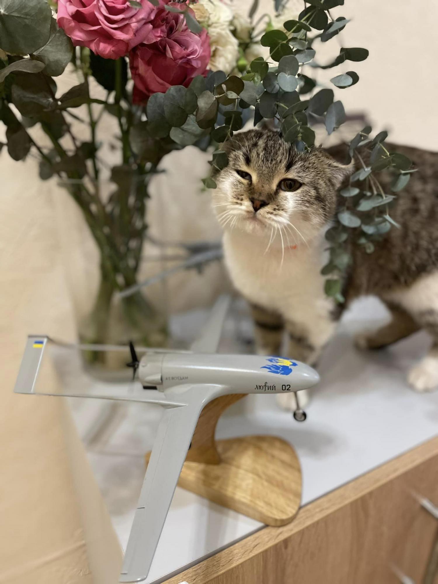 Що відомо про секретний дрон, який атакував НПЗ у Рязані