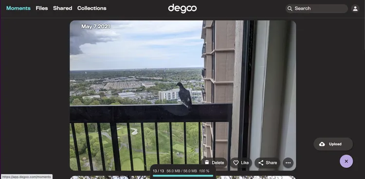 Не теряйте свои воспоминания. 12 надежных и лучших сервисов для безопасного хранения ваших фотографий